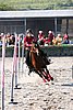 MEC06_3385.jpg