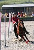 MEC06_3388.jpg