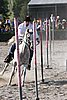 MEC06_3442.jpg