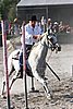 MEC06_3444.jpg