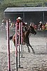 MEC06_3482.jpg