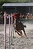 MEC06_3490.jpg