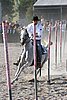 MEC06_3512.jpg