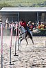 MEC06_3524.jpg