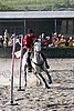 MEC06_3525.jpg
