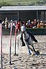 MEC06_3526.jpg