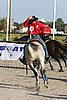 MEC06_3572.jpg
