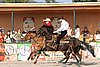MEC06_3579.jpg