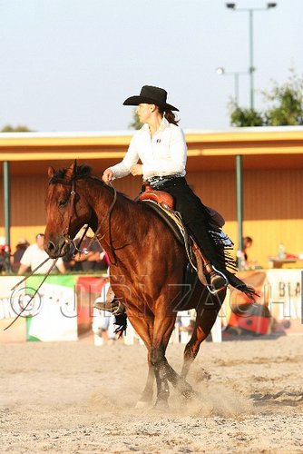 MEC06_3616.jpg