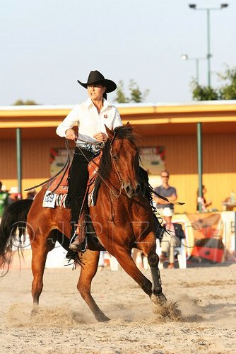 MEC06_3617.jpg