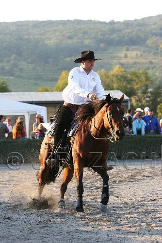 MEC06_3688.jpg