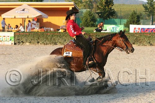 MEC06_3726.jpg