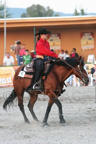 MEC06_3800.jpg