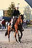 MEC06_3625.jpg