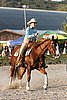 MEC06_3645.jpg