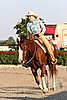 MEC06_3650.jpg