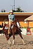 MEC06_3654.jpg