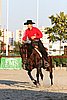 MEC06_3672.jpg
