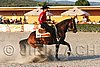 MEC06_3679.jpg