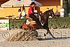 MEC06_3680.jpg