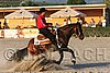 MEC06_3681.jpg