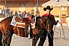 MEC06_3682.jpg
