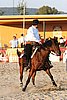 MEC06_3693.jpg