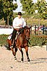 MEC06_3700.jpg