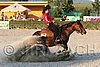 MEC06_3726.jpg