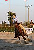 MEC06_3738.jpg