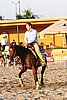 MEC06_3742.jpg