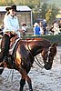 MEC06_3752.jpg