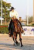 MEC06_3761.jpg