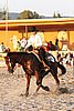 MEC06_3765.jpg