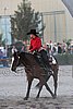 MEC06_3809.jpg