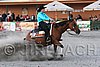 MEC06_3856.jpg