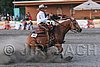 MEC06_3874.jpg