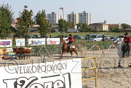 MEC06_3046.jpg