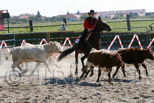 MEC06_3065.jpg