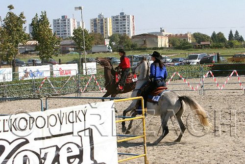 MEC06_3070.jpg