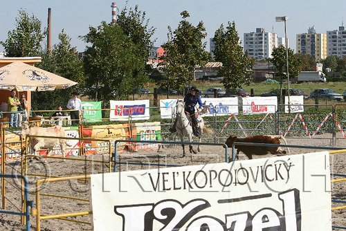MEC06_3072.jpg