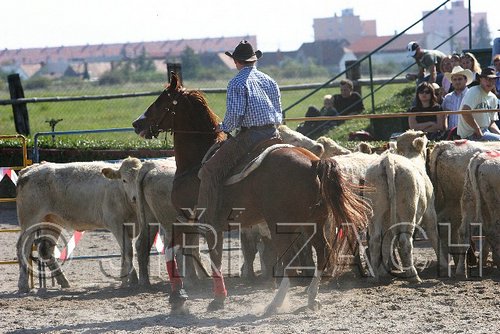 MEC06_3079.jpg