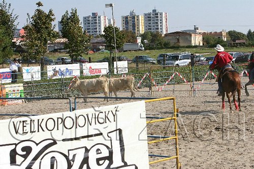 MEC06_3104.jpg