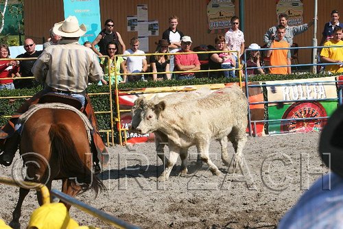 MEC06_3108.jpg