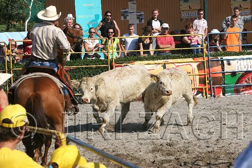 MEC06_3109.jpg