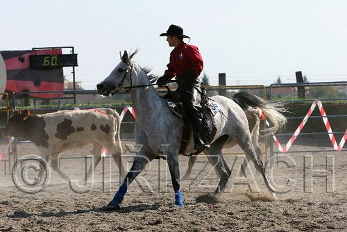 MEC06_3137.jpg