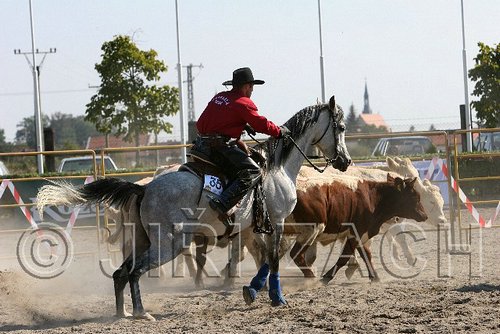 MEC06_3138.jpg