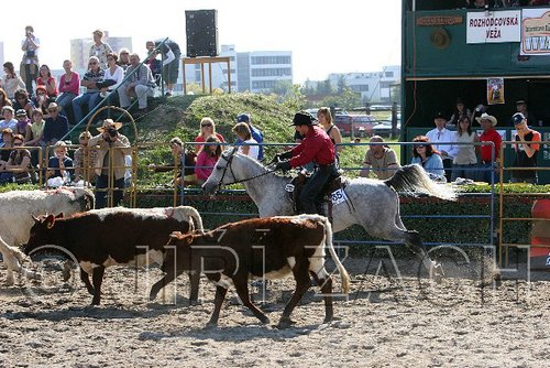 MEC06_3165.jpg