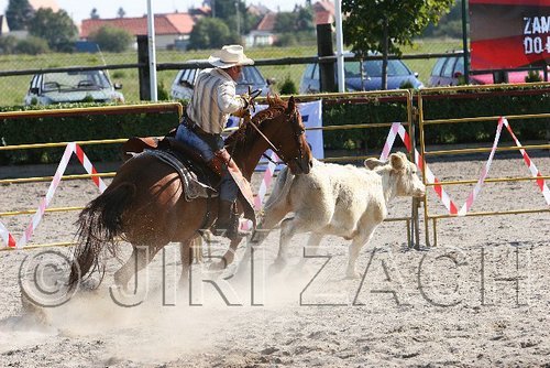 MEC06_3177.jpg