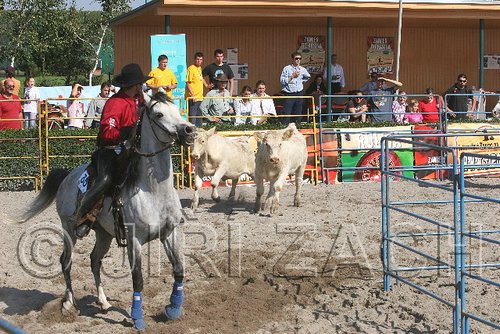 MEC06_3184.jpg